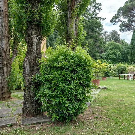 Apartment Depandance Con Giardino Montelupo Fiorentino